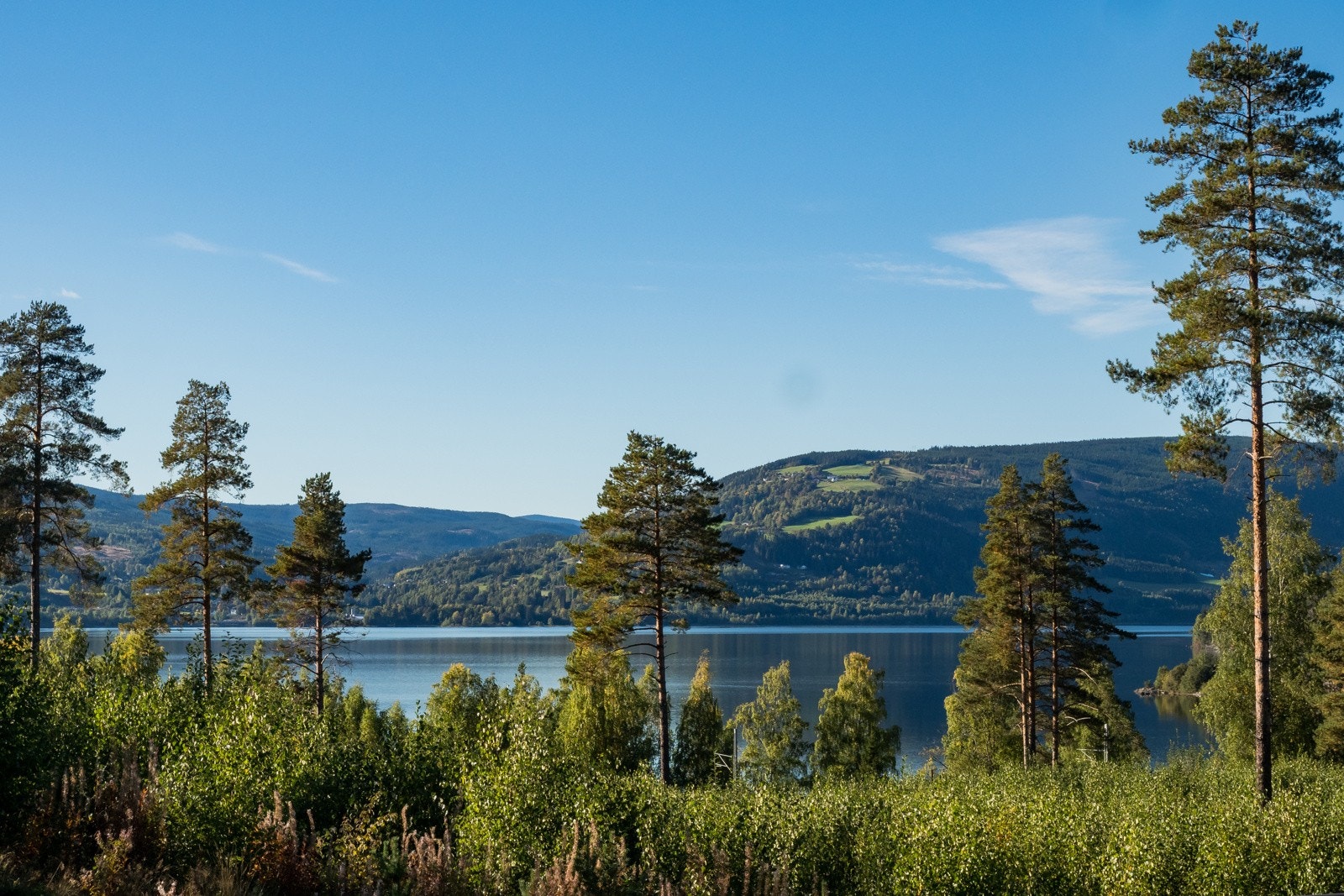 Fra hytta er det kort vei ned til Mjøsa som kan benyttes til fisking og bading på sommeren, pilking og skøyter på vinteren. Galleribilde