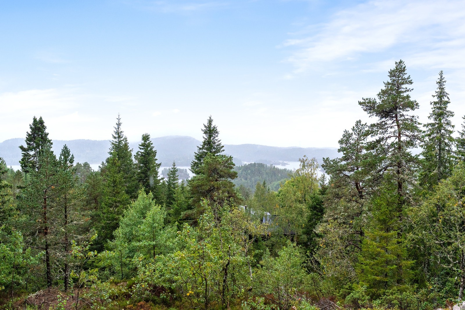 Utsikt til Høvringsvannet Galleribilde