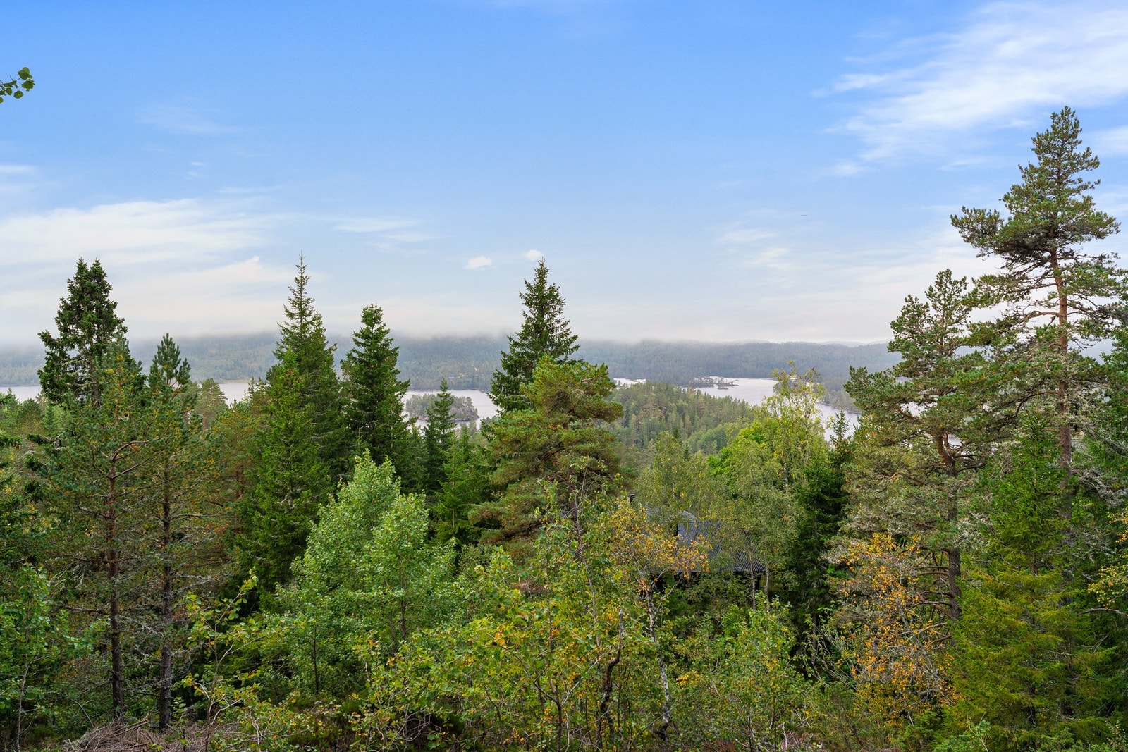 Utsikt fra hytta Galleribilde