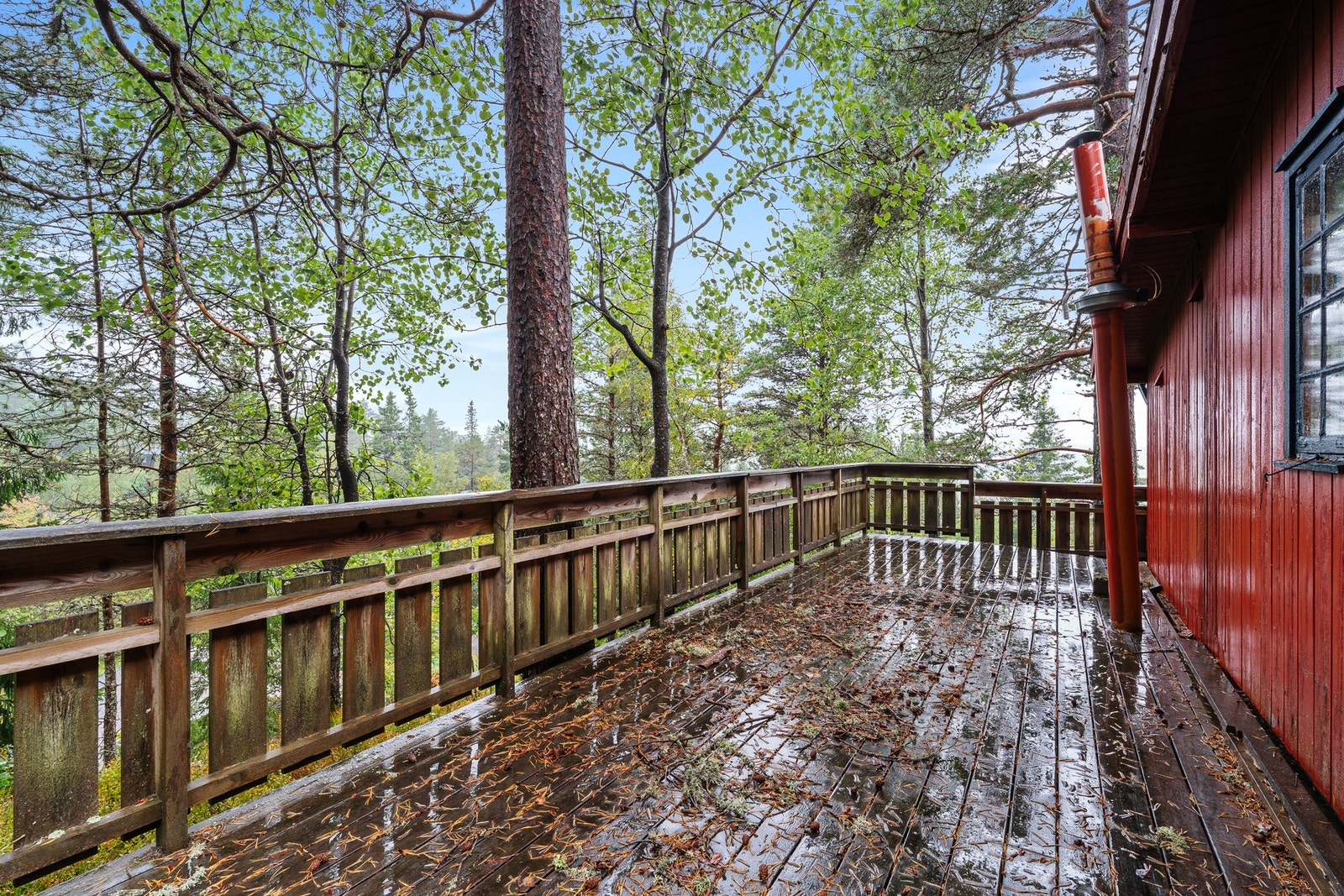 Del av terrassen Galleribilde