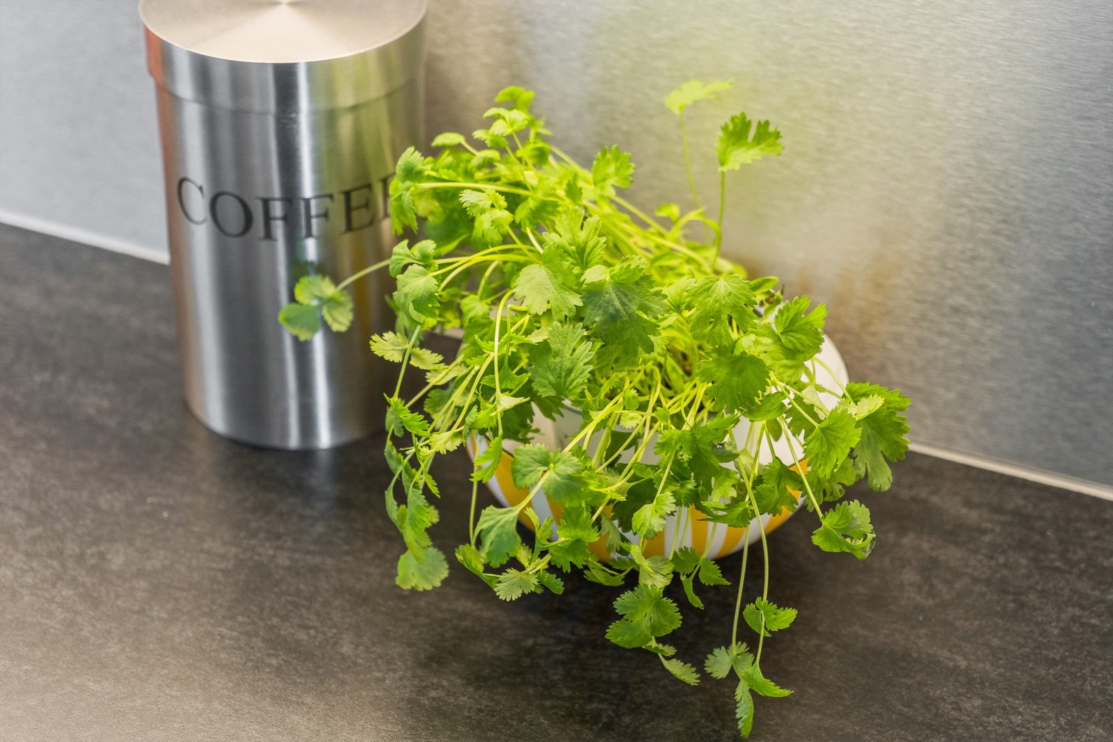 Detaljebilde Galleribilde