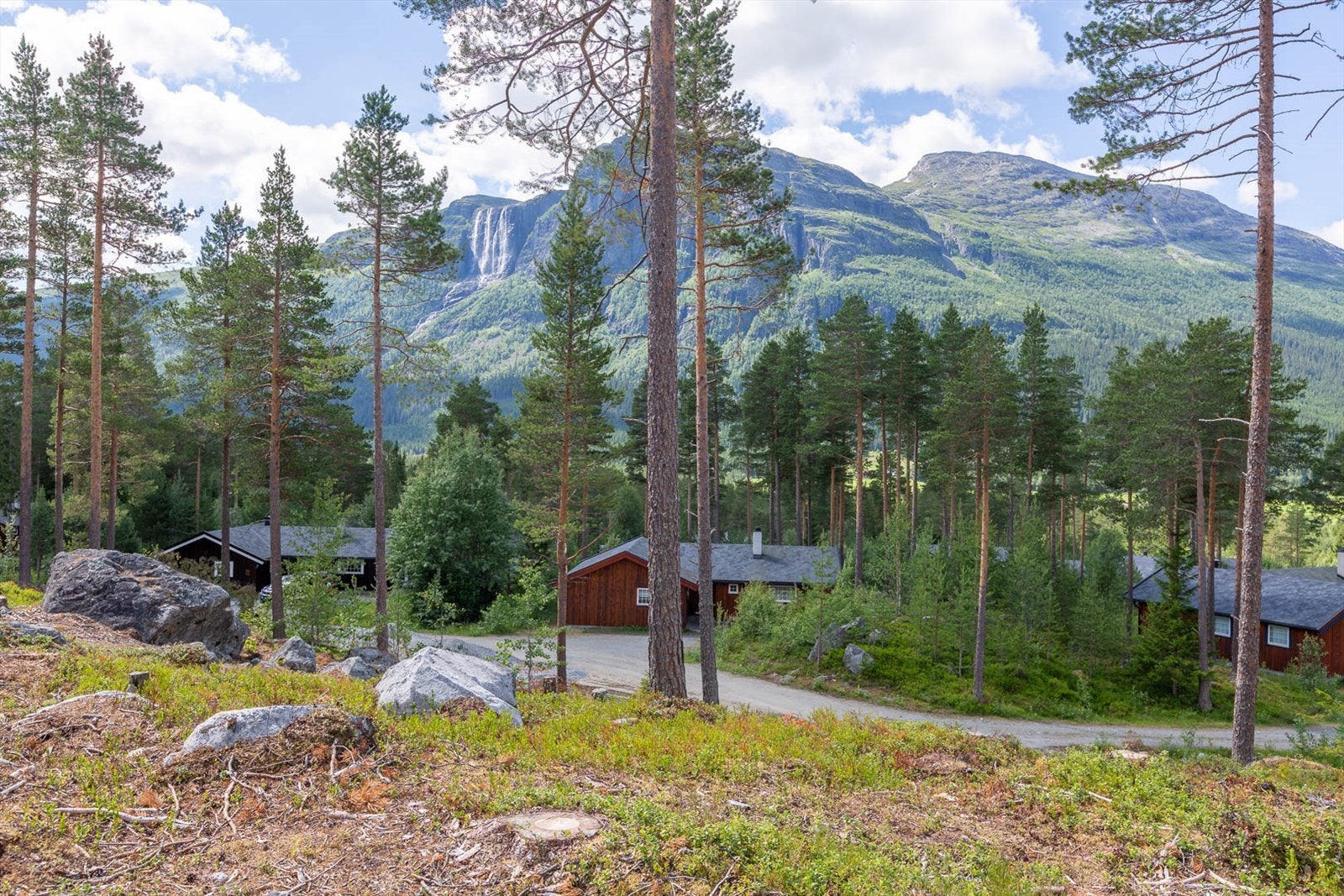 Nærområdet på sørsiden Galleribilde