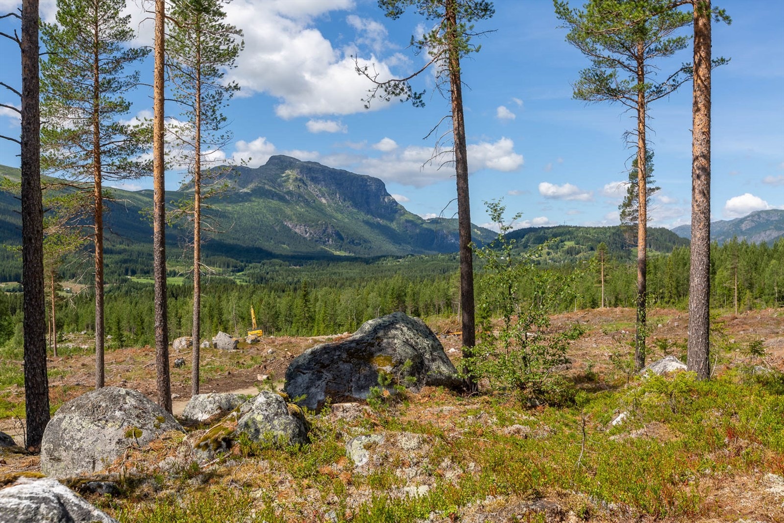 Utsikt fra tomt 7 Galleribilde