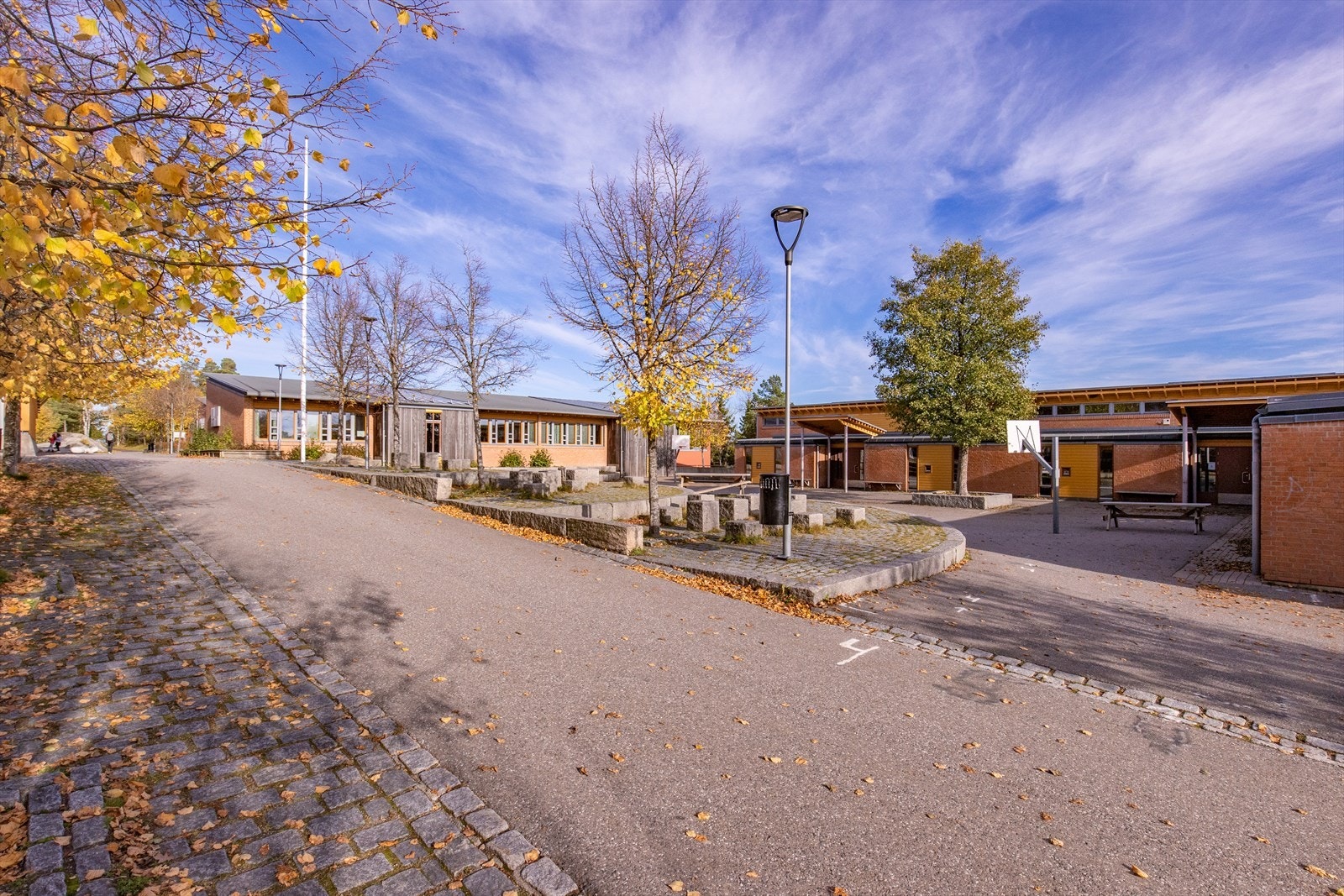 1DX38767.jpg Galleribilde