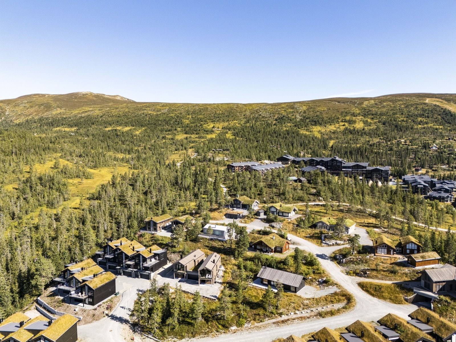 Solrik og ettertraktet beliggenhet på Bøsetra ca. 798 moh. Galleribilde