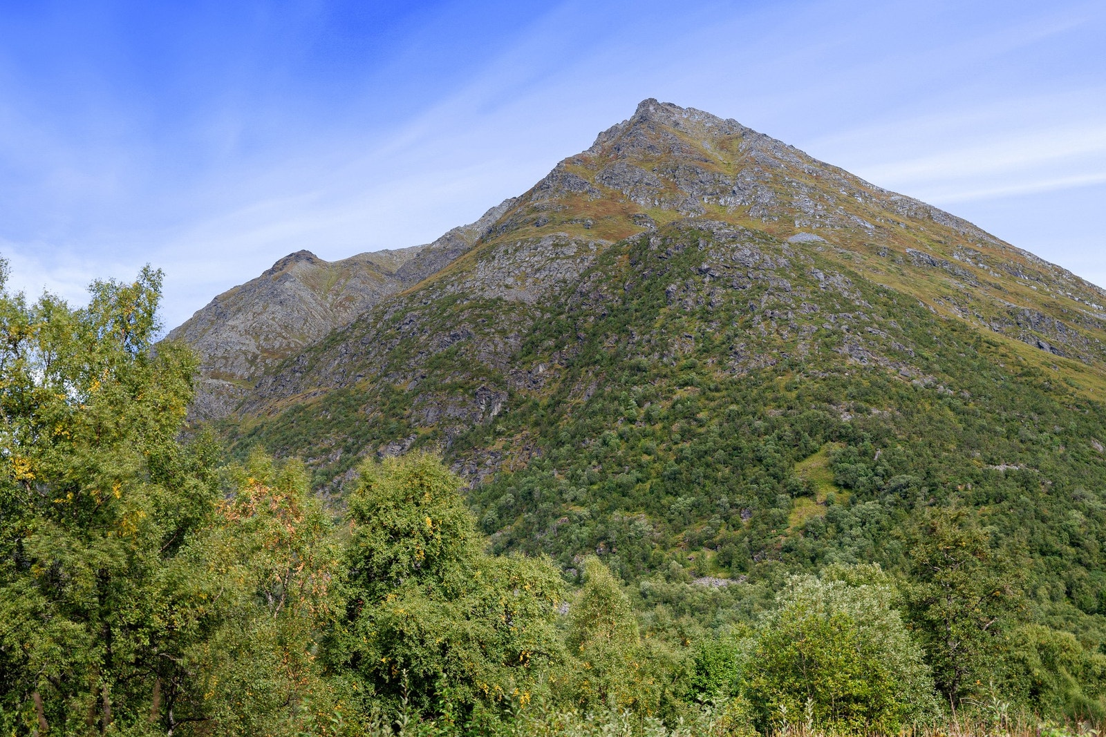 Velkommen til en trivelig visning! Galleribilde