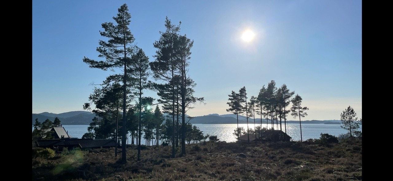 Utsikt fra tomt Galleribilde