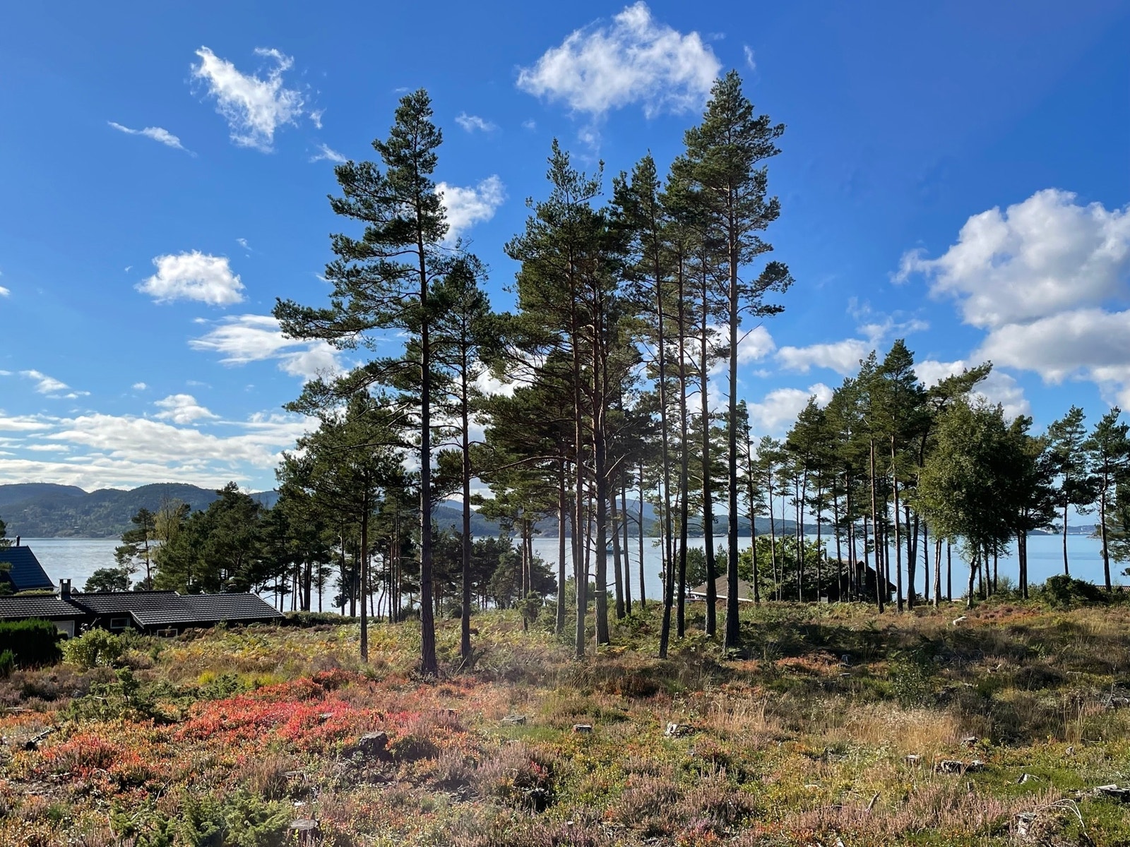 Nærområdet Galleribilde