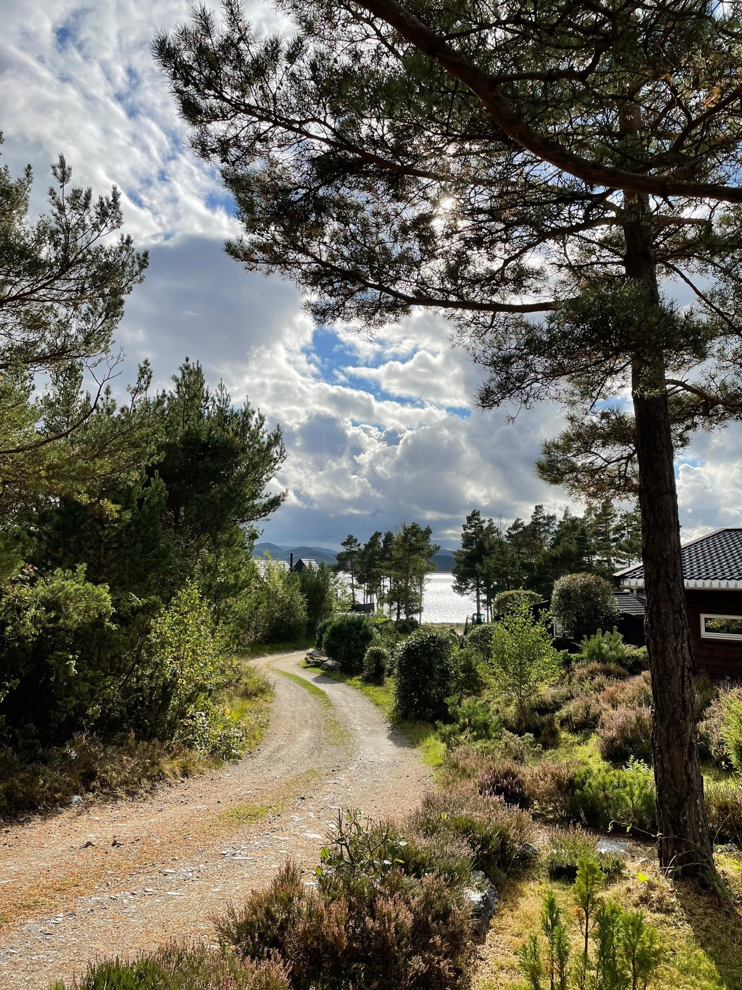 Adkomst Galleribilde