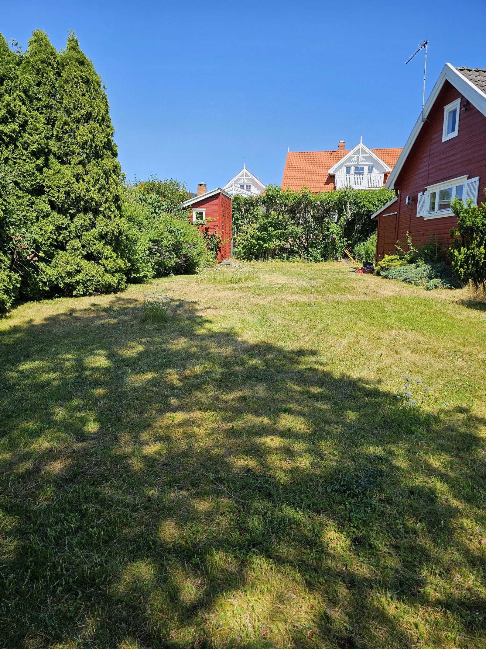 1000005002 Galleribilde