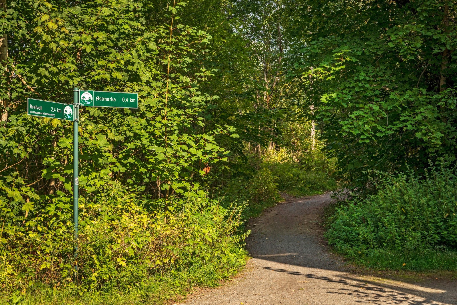 Næområde Galleribilde