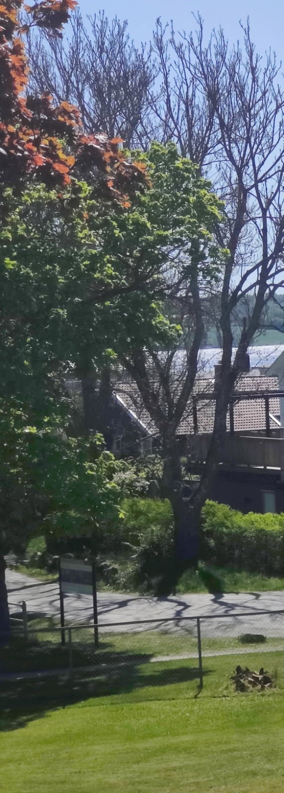 Utsikt mot sjøen fra balkongen Galleribilde