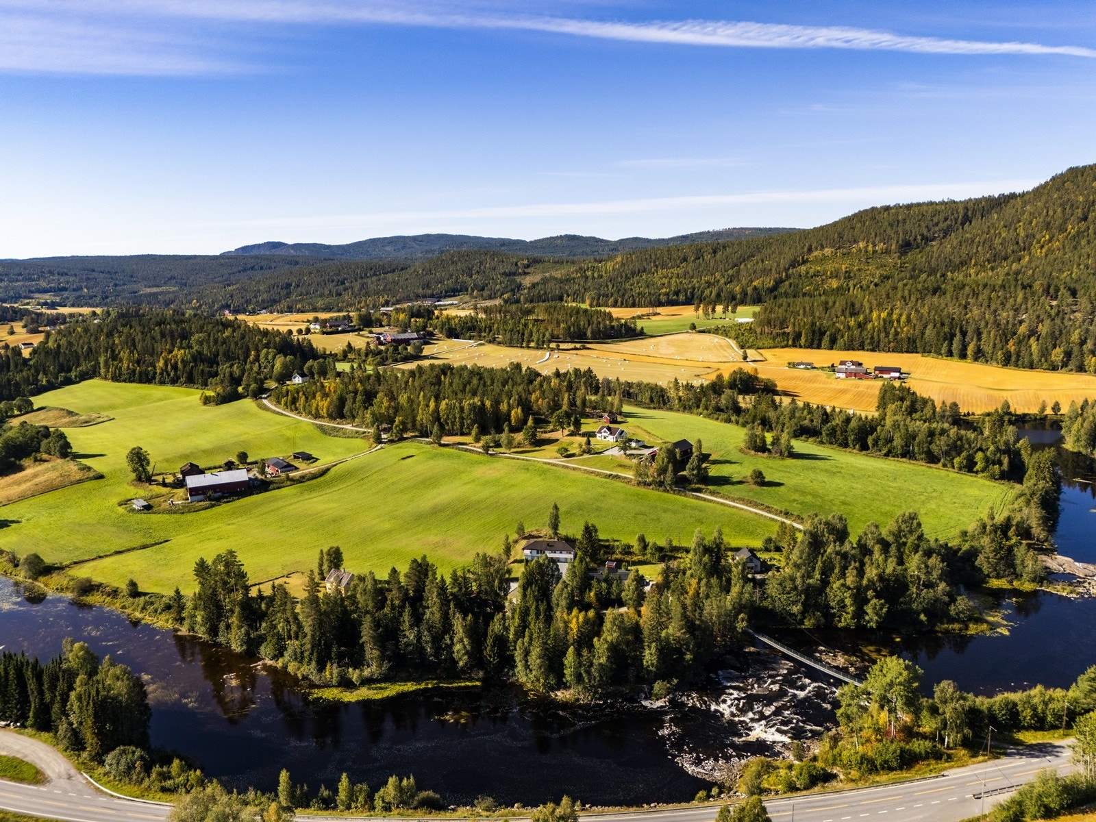 Velkommen til en hyggelig visning! Galleribilde