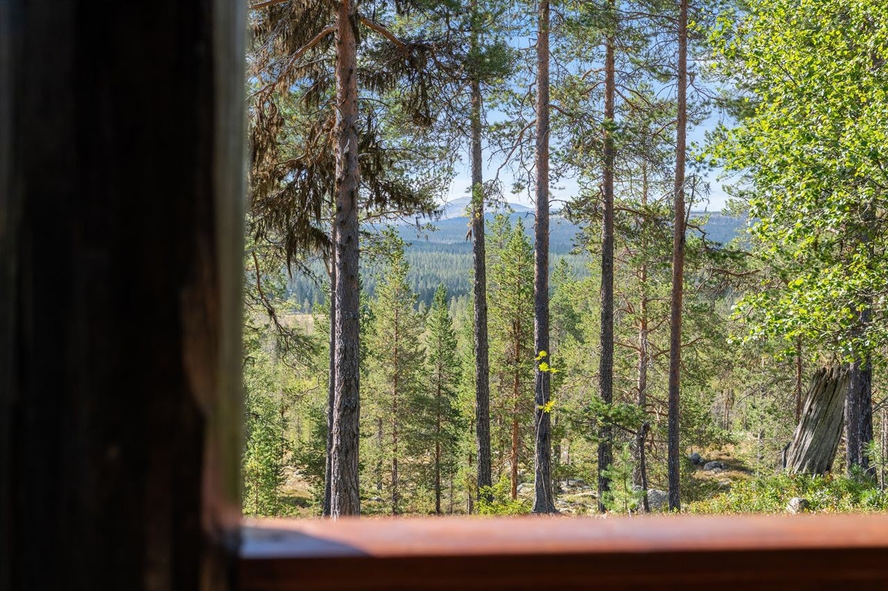 Fra eiendommen kan du nyte naturen og utsikten mot fjellheimen og Sølen. Galleribilde