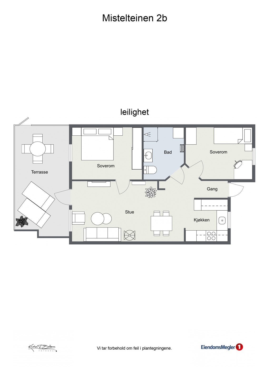 Mistelteinen 2b - 2D - leilighet - Letterhead Galleribilde