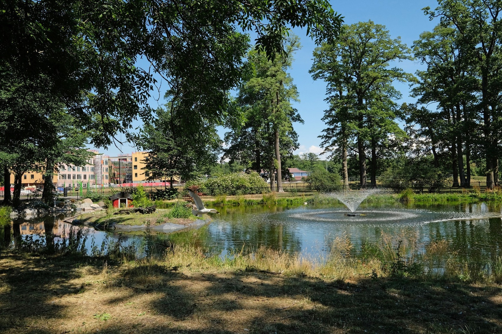 Sommer i Lystlunden - vi ser også den nye videregående skolen i bakkant - så kort skolevei Galleribilde