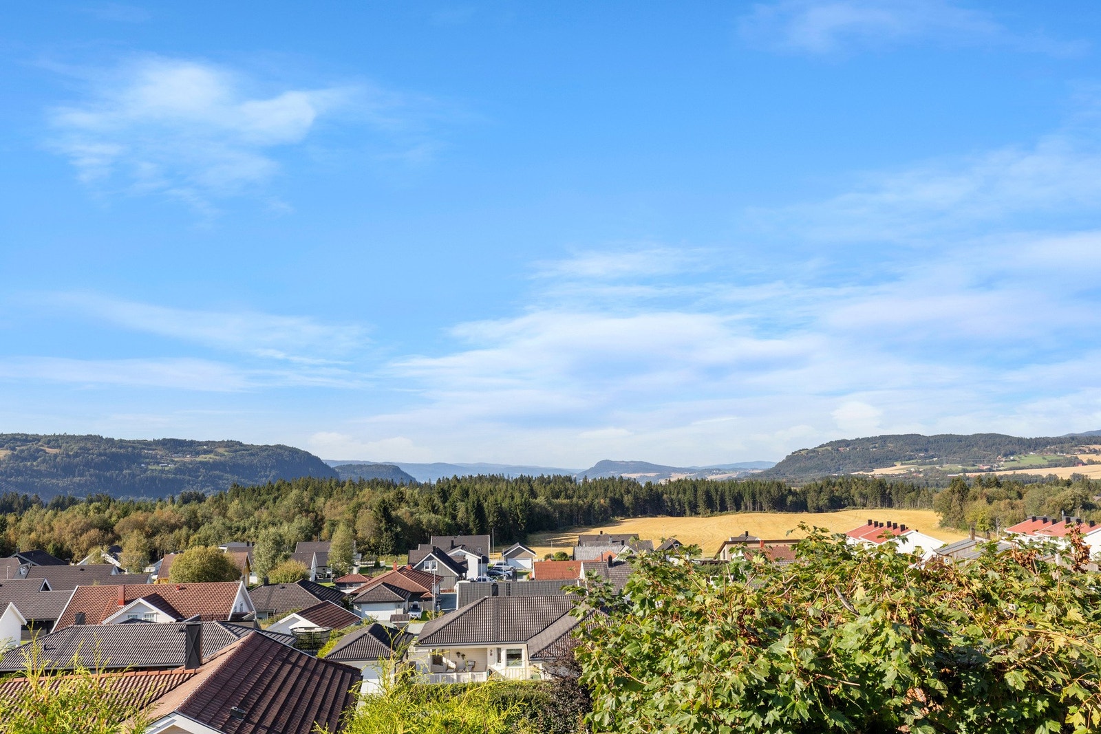 Fra spisestuen er dette utsikten du får! Galleribilde