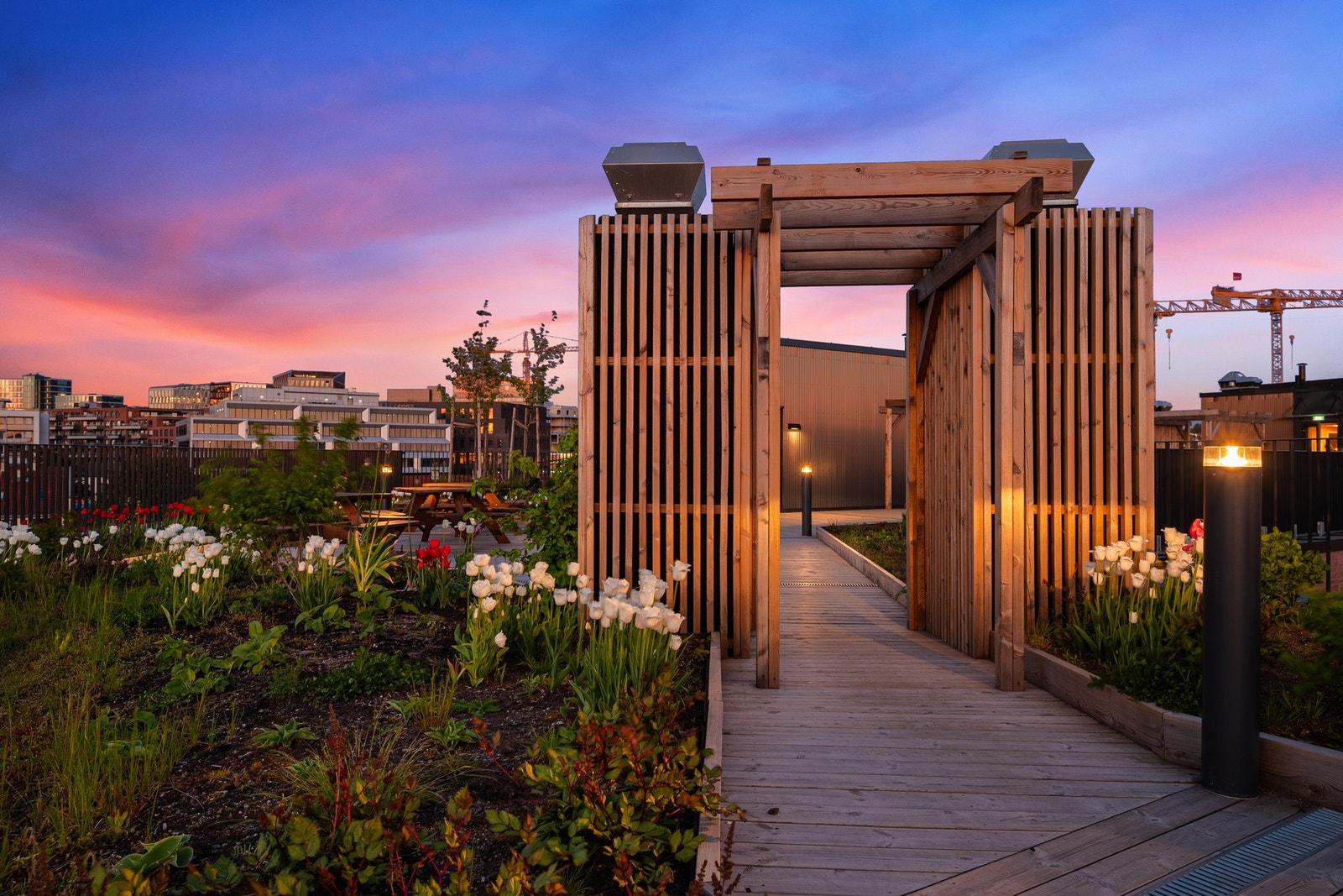 Den felles takterrassen gir et ekstra uterom med plass til både avslapning og sosiale sammenkomster Galleribilde