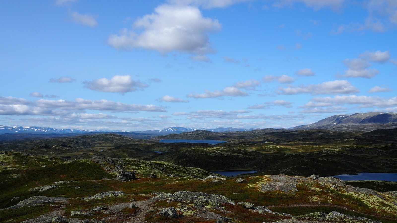 Utsikt fra Store varden i Vats, mot Hallingskarvet og Reineskarvet Galleribilde
