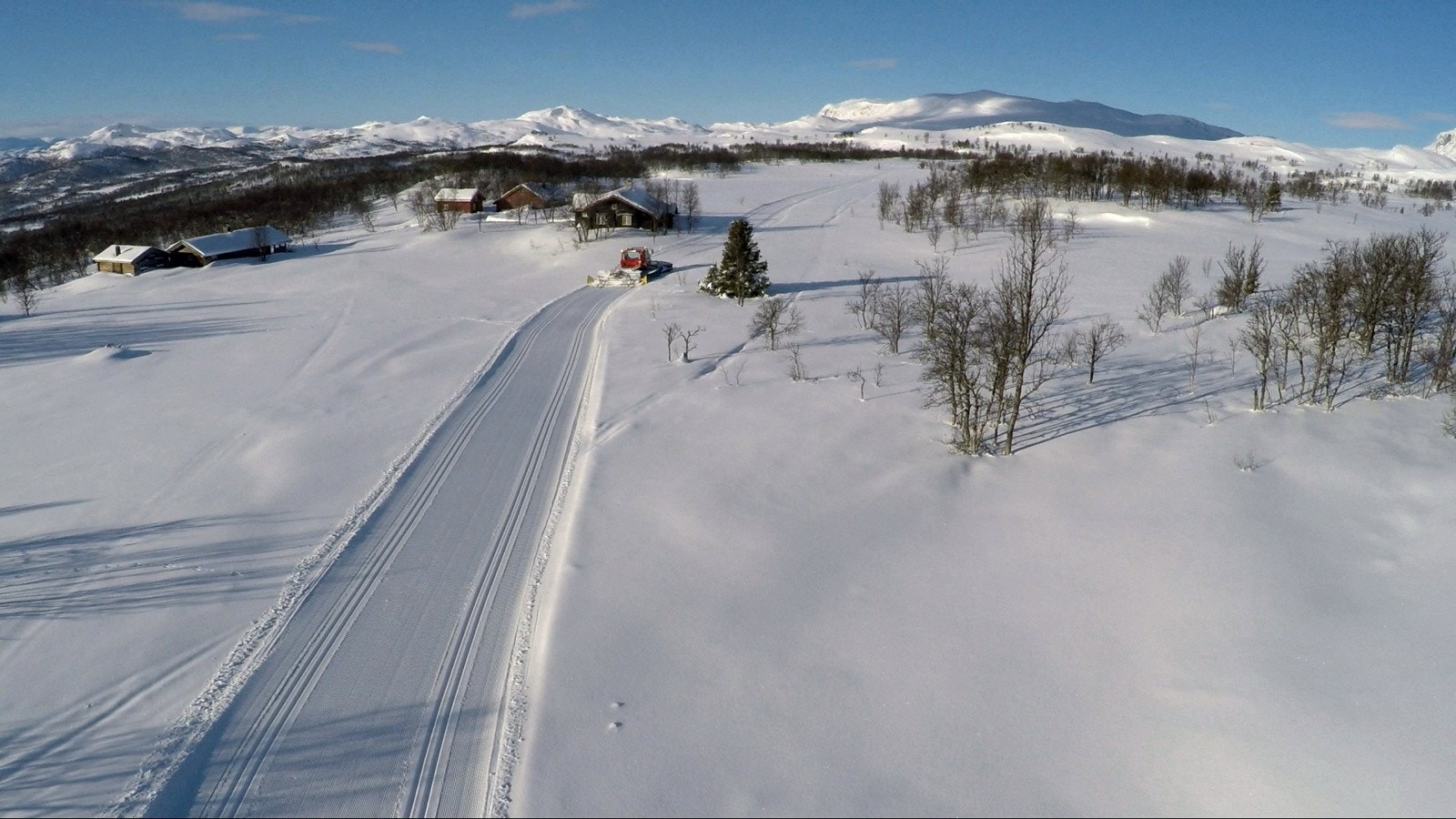 Skarveheimen Galleribilde