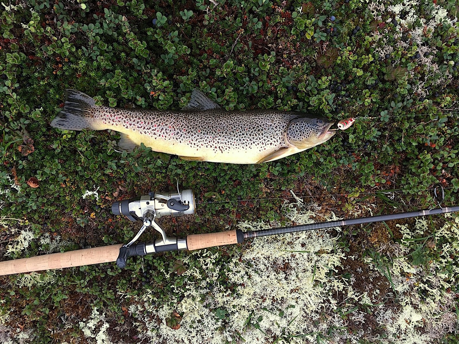 Vatsfjorden byr på godt fiske Galleribilde