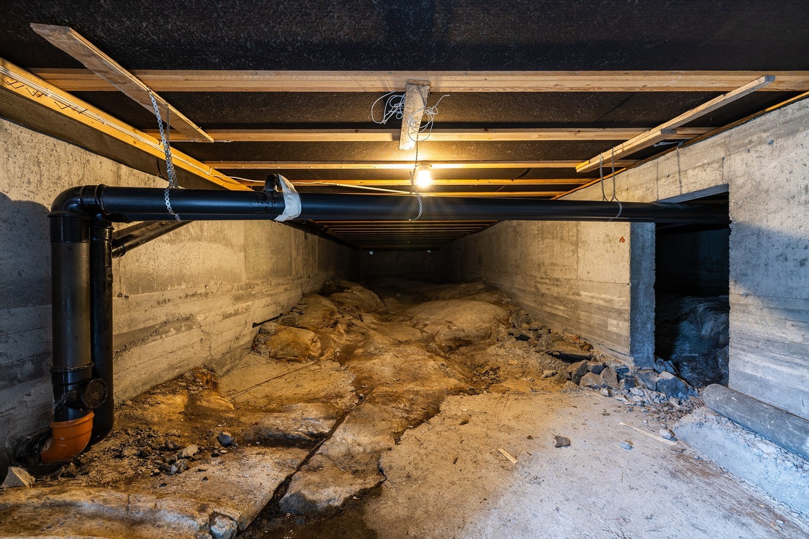 Krypkjeller. Galleribilde