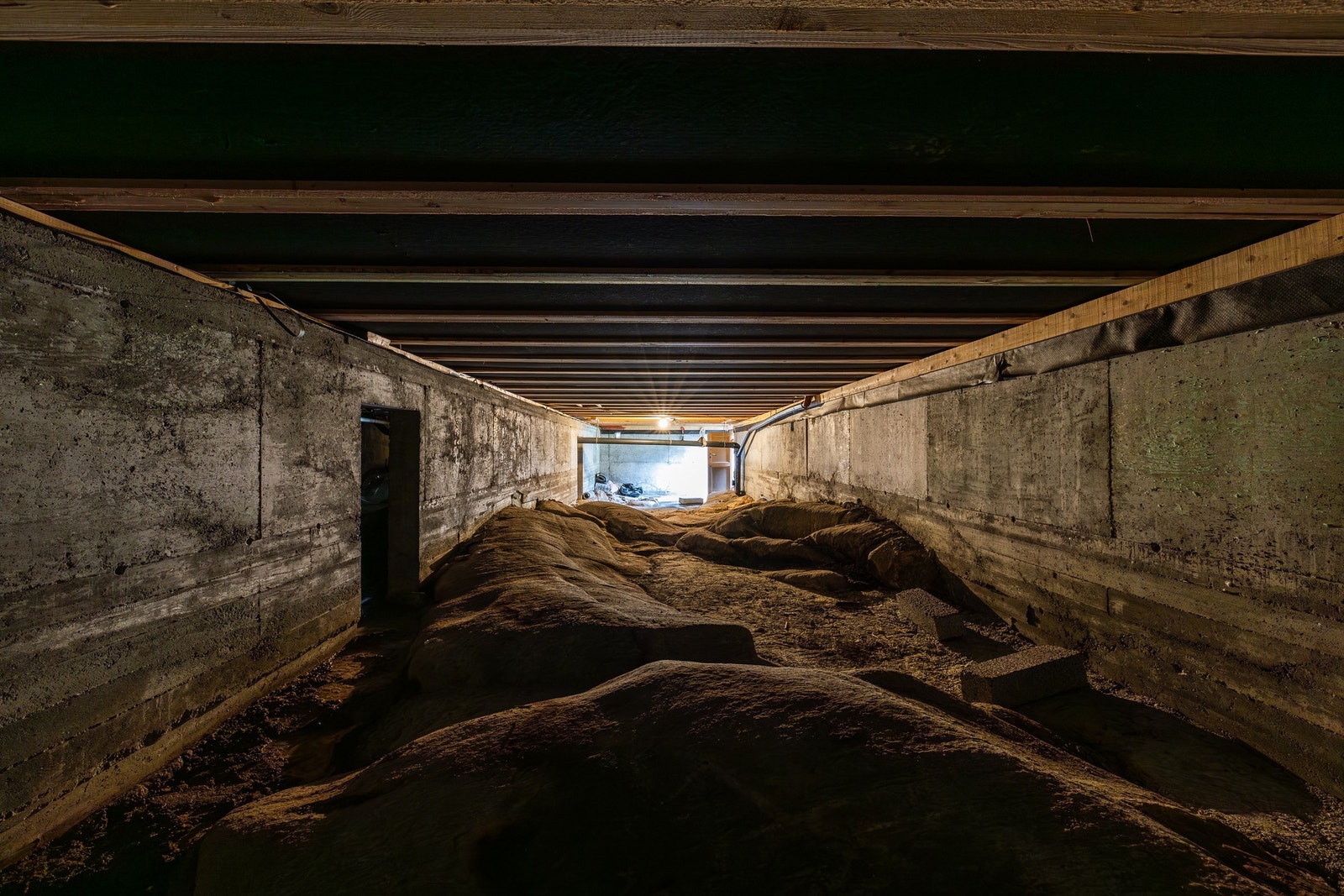 Krypkjeller. Galleribilde