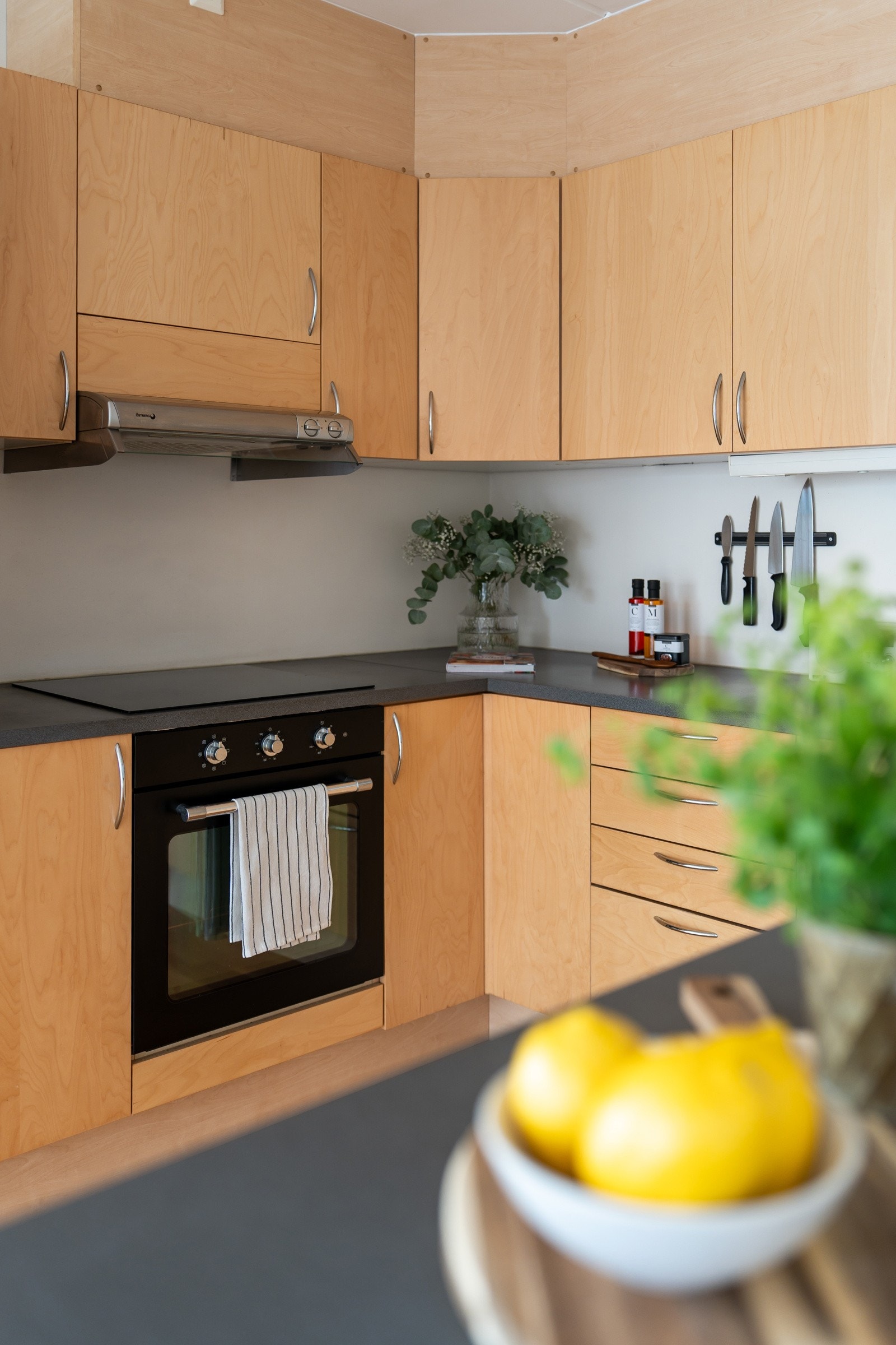 Hvitevarene består av oppvaskmaskin, platetopp, stekeovn, samt kjøl- og fryseskap. Galleribilde