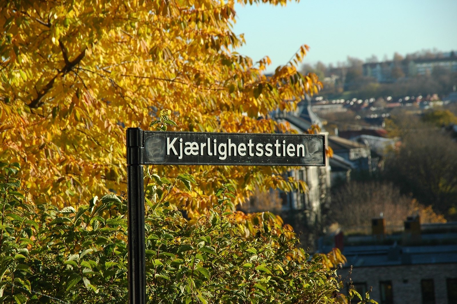 Kjærlighetsstien tar deg ned til Egebergløkka parsellhager. Herfra er det kort vei til turstier langs Akerselva. Galleribilde