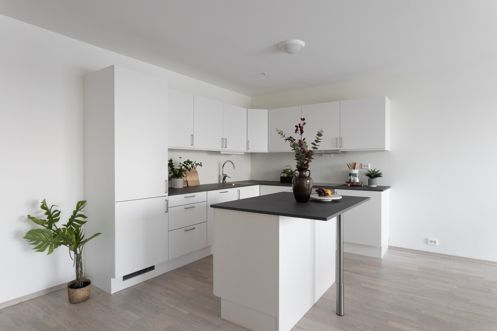 Ved kjøkkenøyen kan det innredes med barstoler, slik kan alle ta del i matlagingen Galleribilde