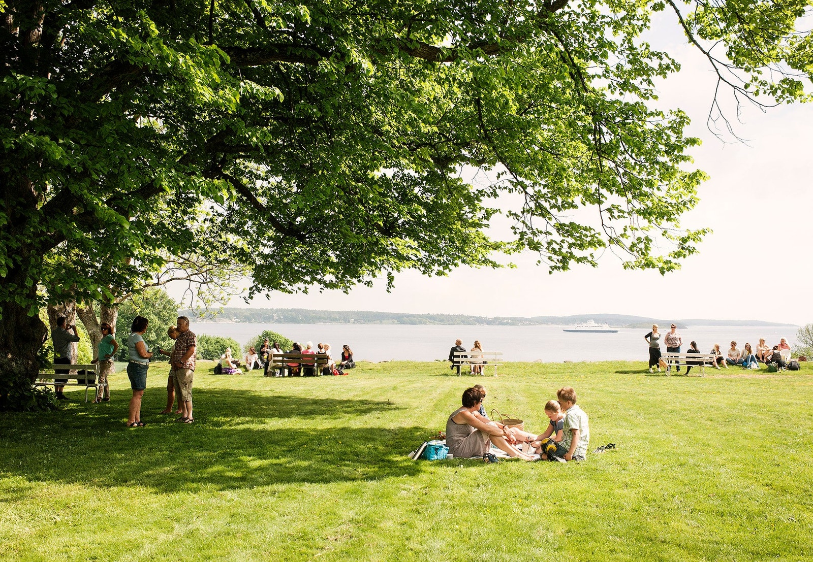 Alby med sin flotte natur og turområder, inviterer også til kunstutstillinger Galleribilde