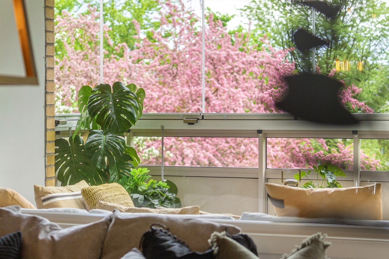 Lunt og grønt utsyn fra stue og balkong. Galleribilde