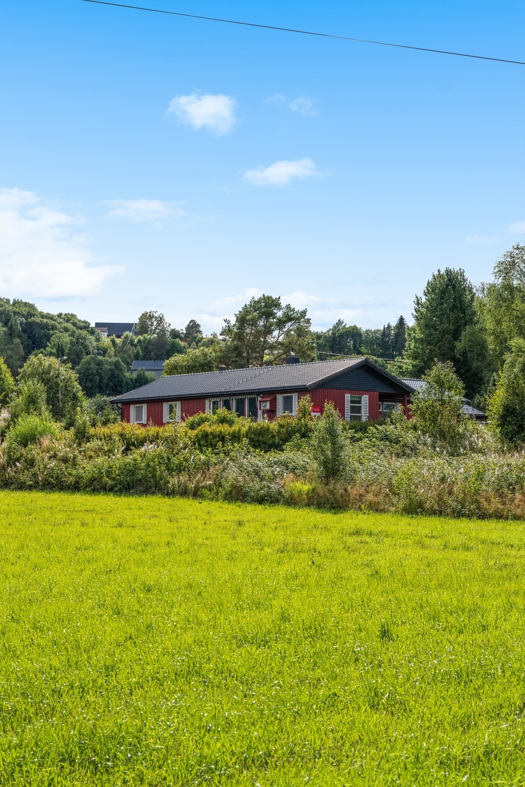 Velkommen til visnig! Galleribilde