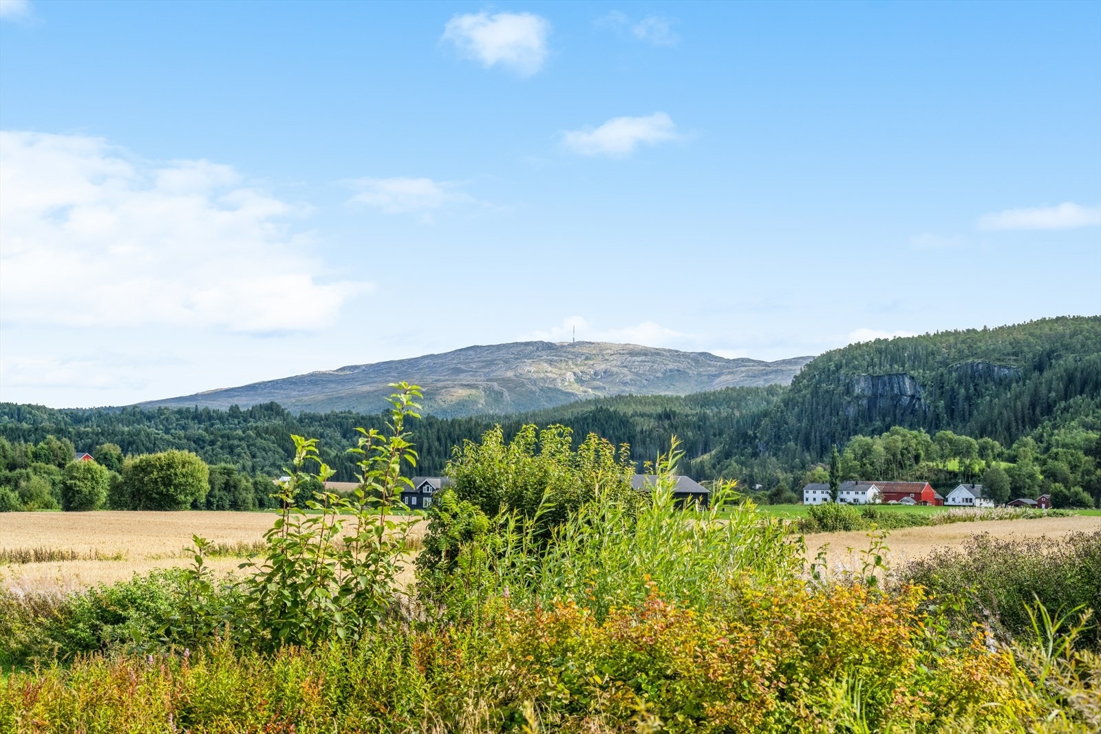 Fin åpen utsikt Galleribilde