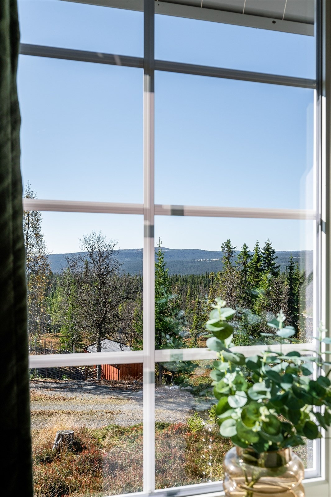 Utsikt fra vinduet i stuen Galleribilde