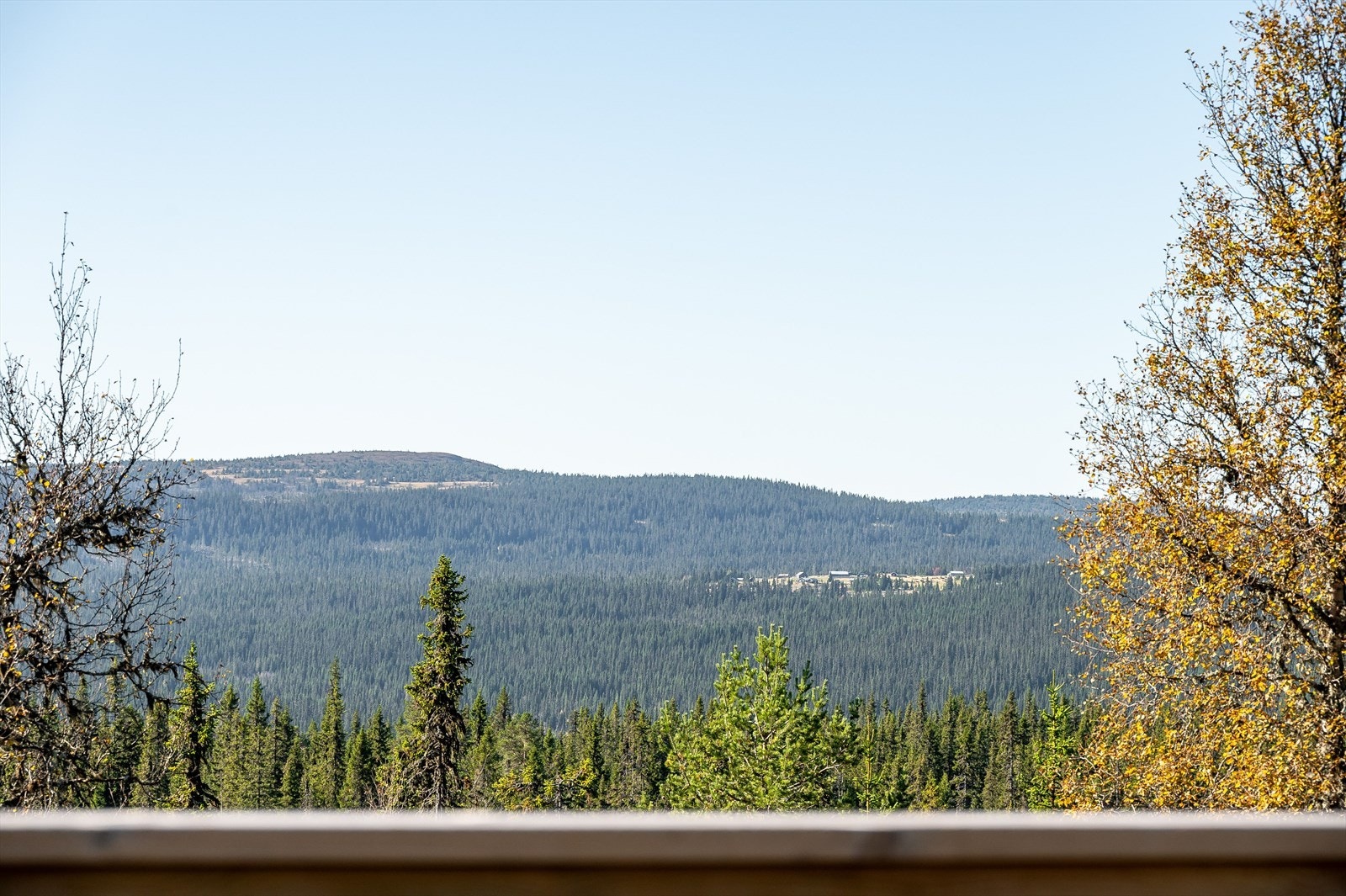 Perfekt utsikt Galleribilde