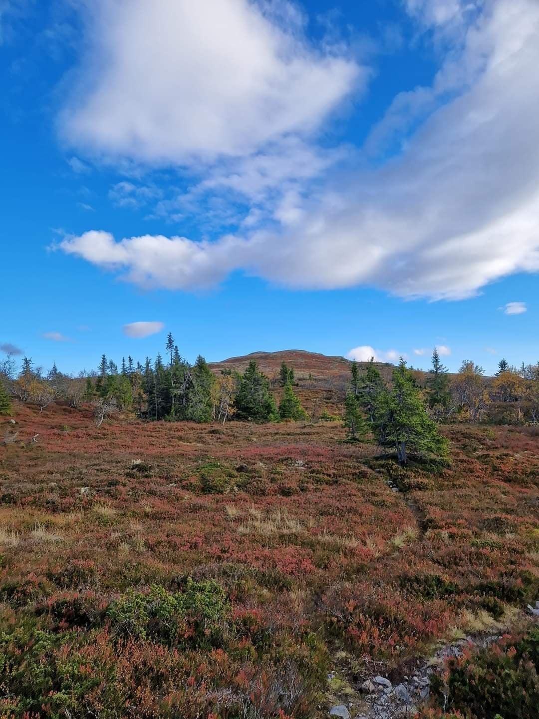 Veldig fine turmuligheter Galleribilde