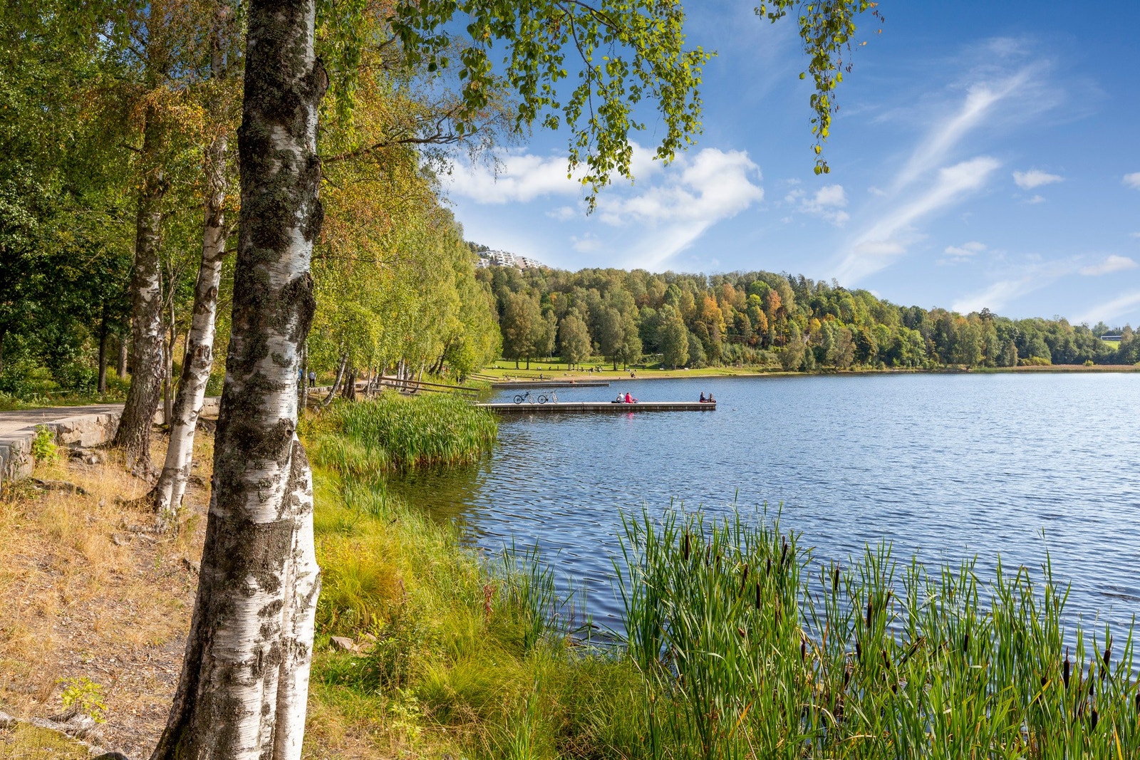 Kort vei til Bogstadvannet med idylliske turstier og bademuligheter. Galleribilde