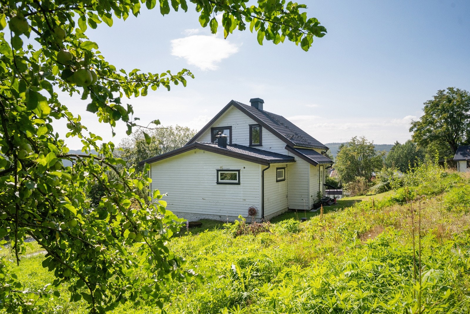 Her er det naturtomt og hage med plen og beplantning - frukt og bærbusker Galleribilde