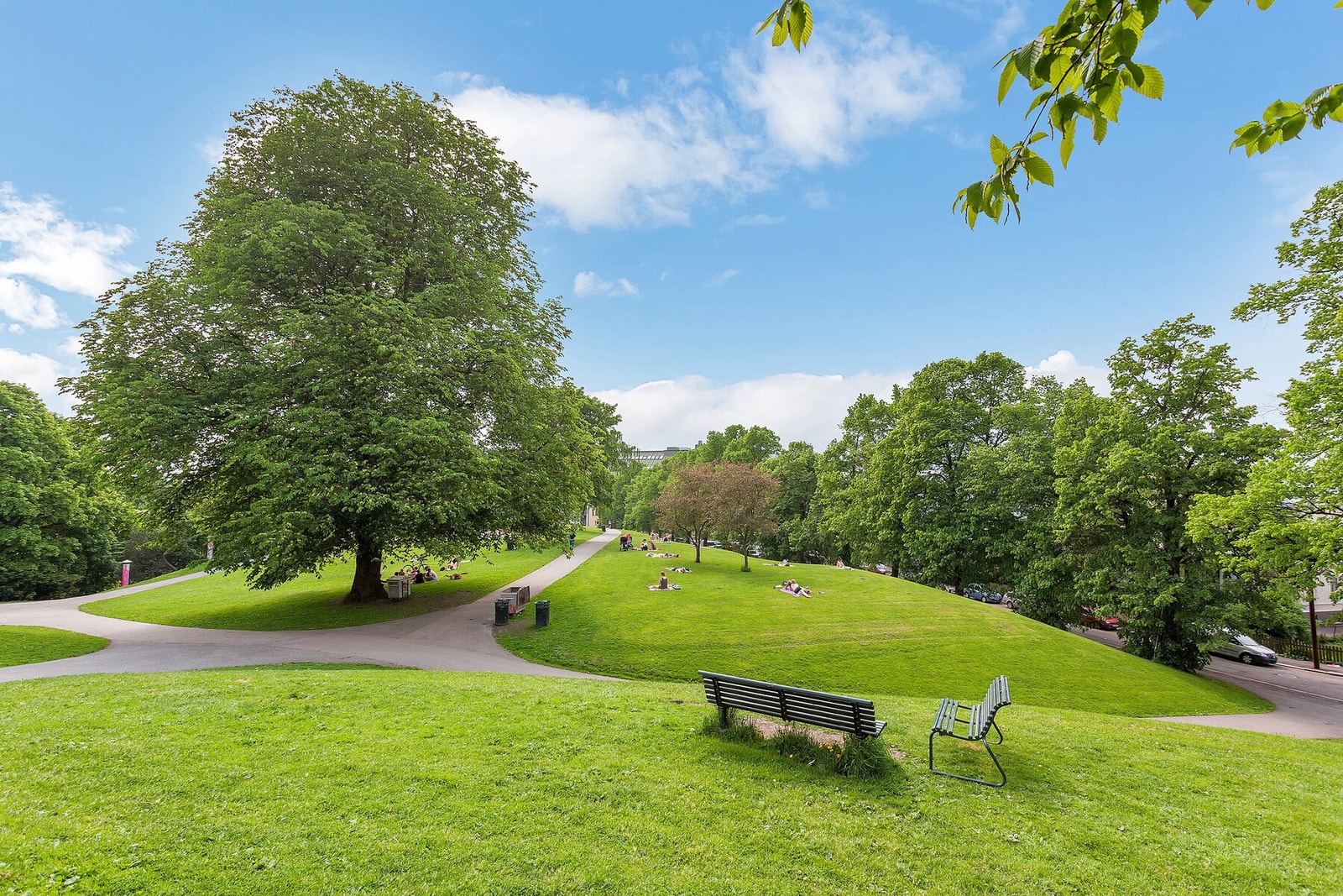 Det er flere flotte parkområder i nærheten. Her ser du Stensparken. Galleribilde