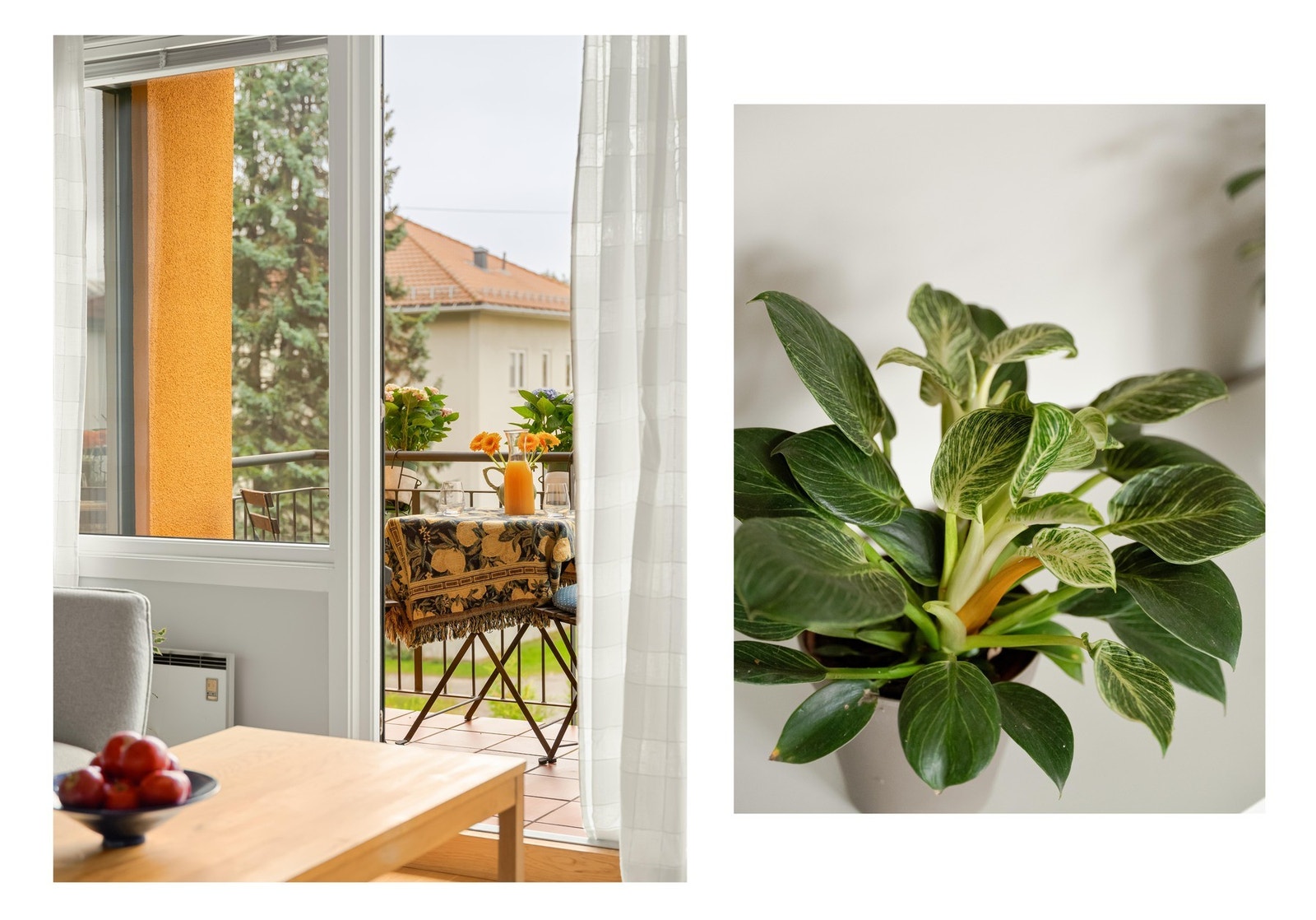 De store vindusflatene slipper inn mye deilig dagslys i alle rom. Galleribilde