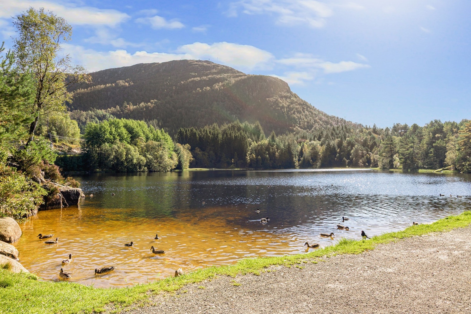 Området har svært mye å by på! Galleribilde
