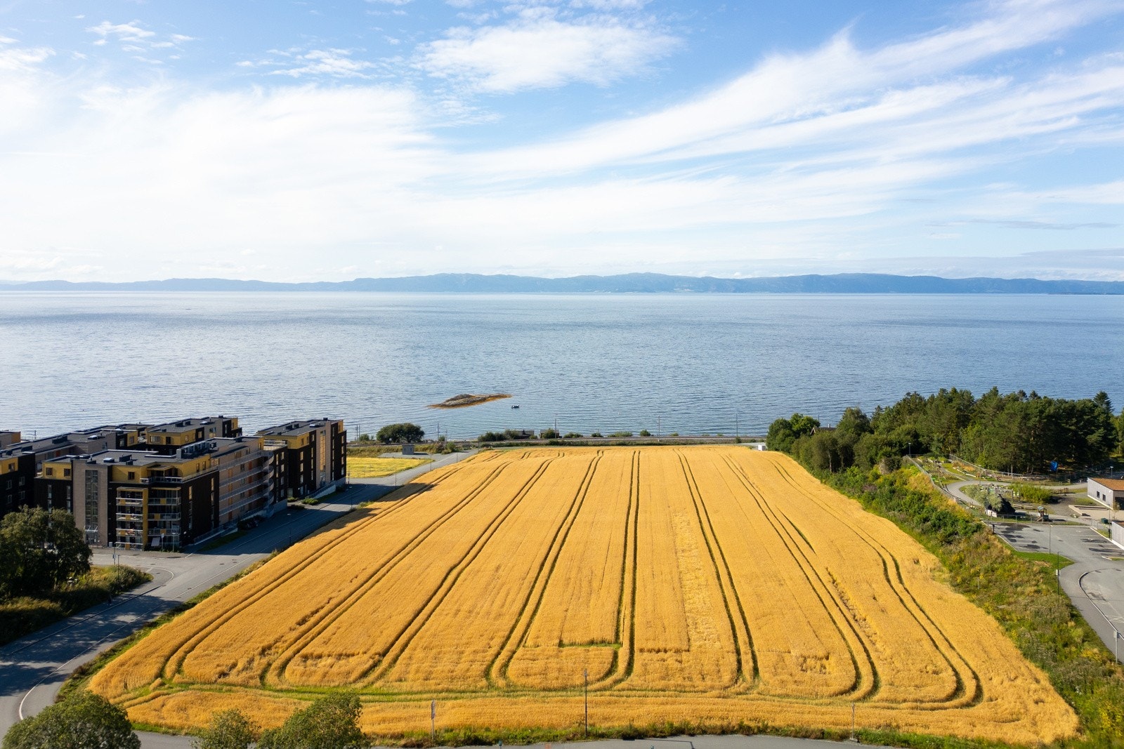 Tomtene er regulert til rekkehus og leilighetsbygg Galleribilde