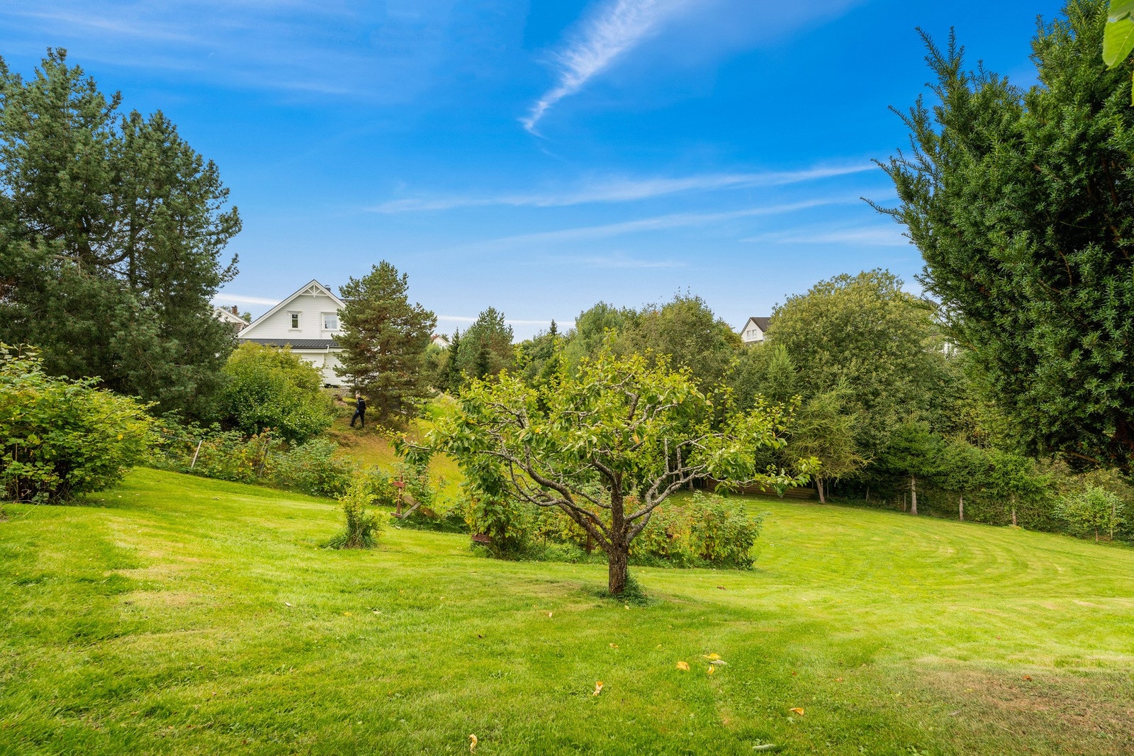 Ta gjerne kontakt dersom du ønsker visning på tomten. Galleribilde