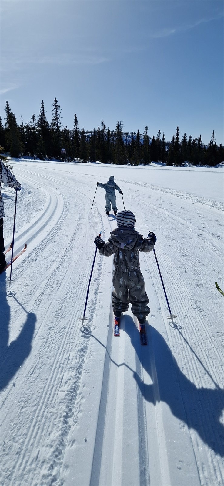 Selgers foto. Galleribilde