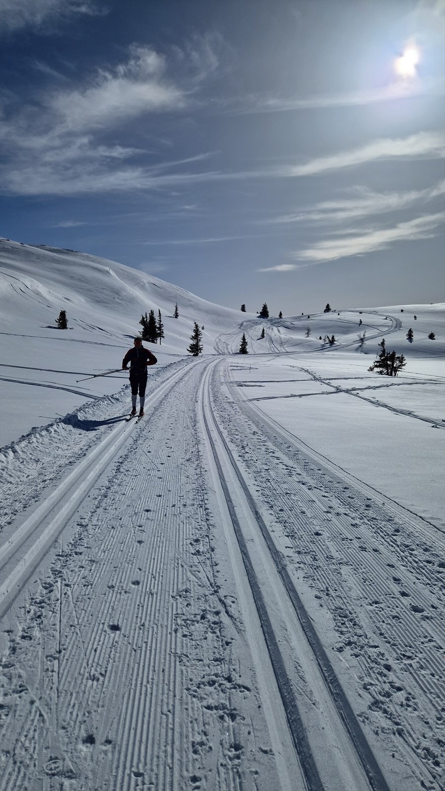 Selgers foto. Galleribilde