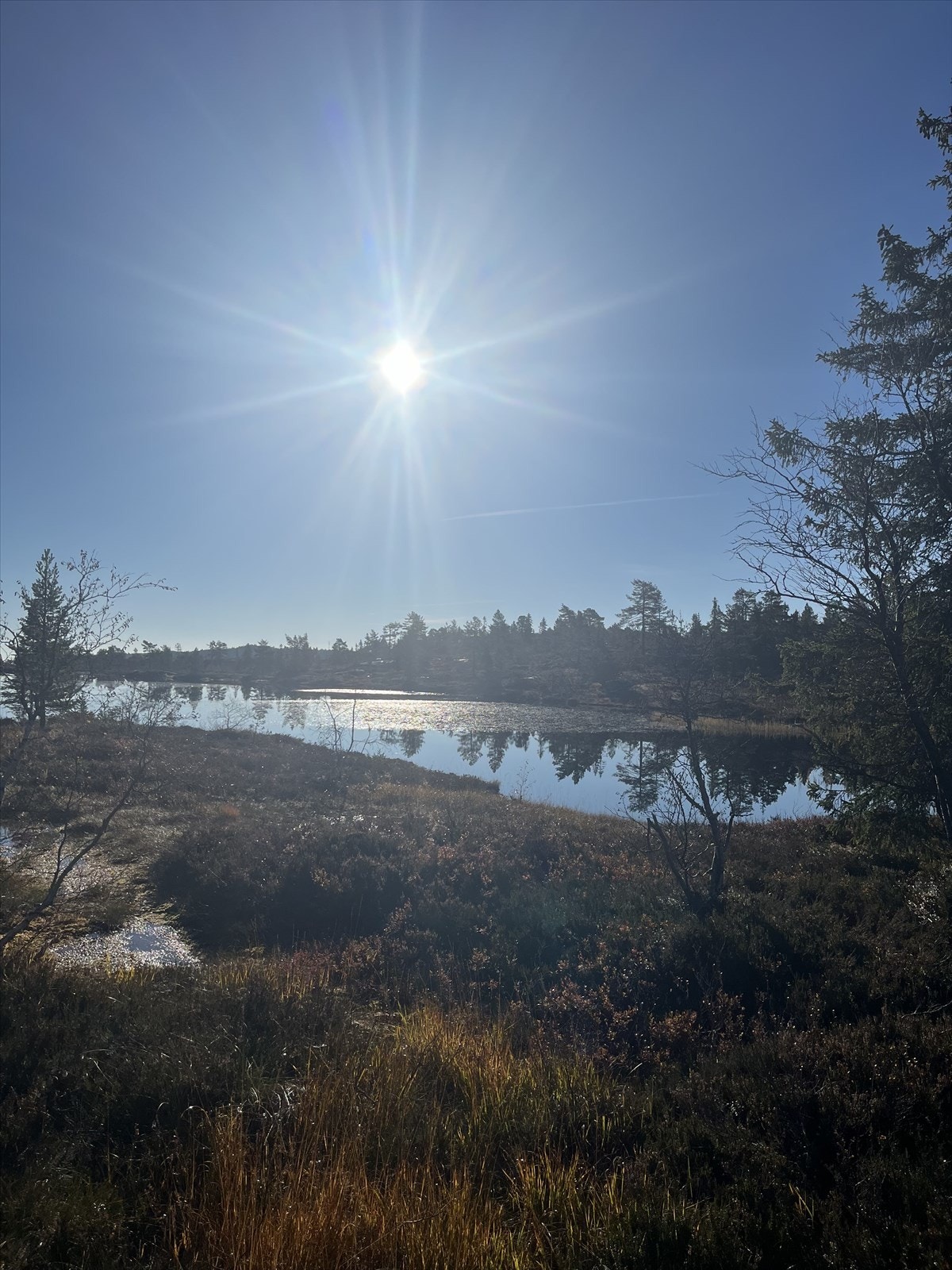 Selgers eget bilde. Galleribilde