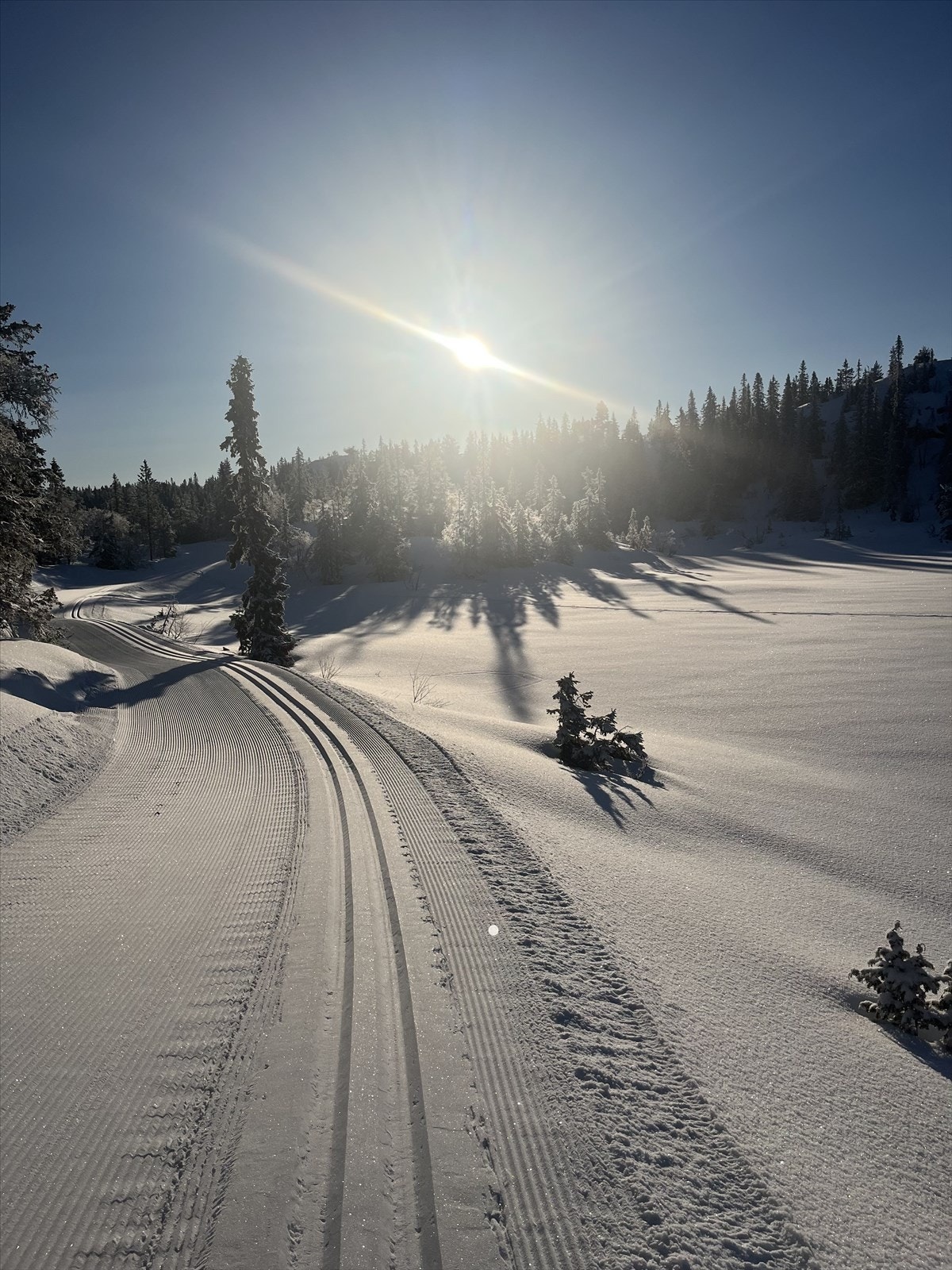 Selgers eget bilde. Galleribilde