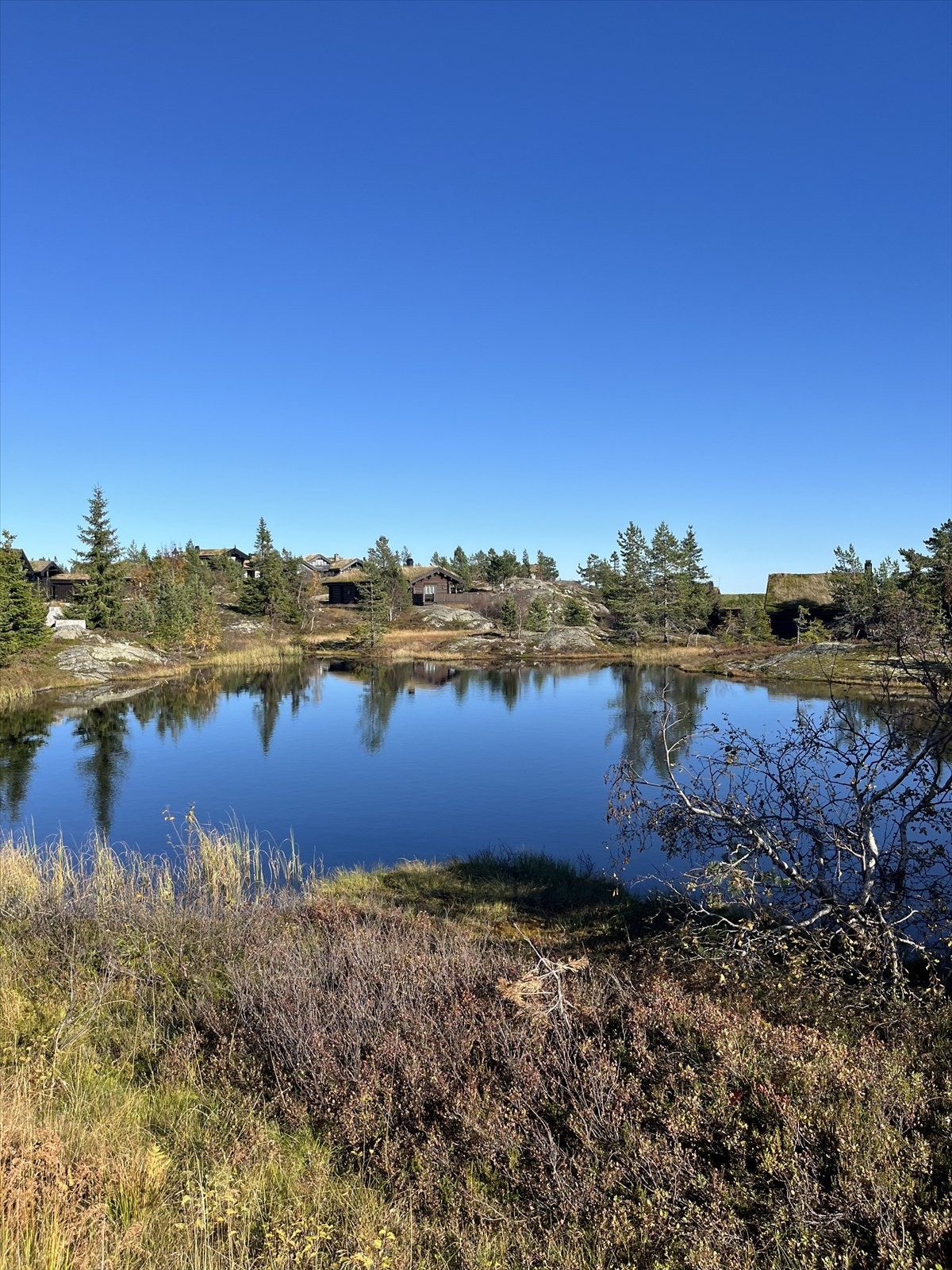 Selgers eget bilde. Galleribilde