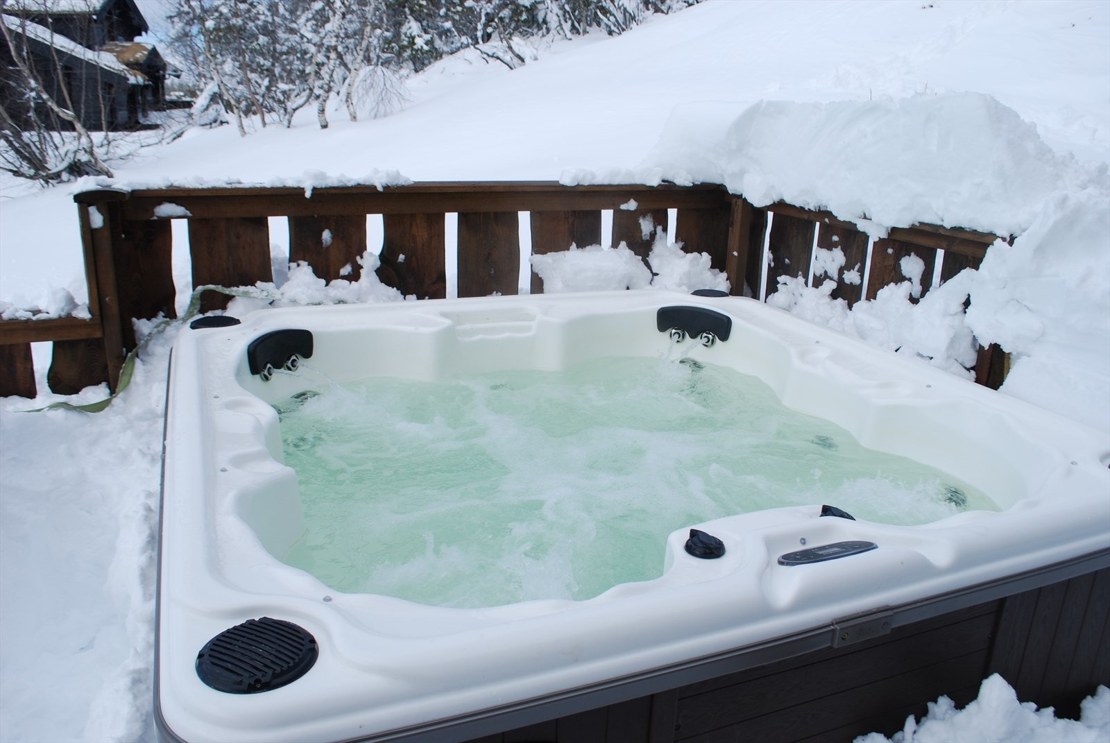 Selgers egne bilder Galleribilde